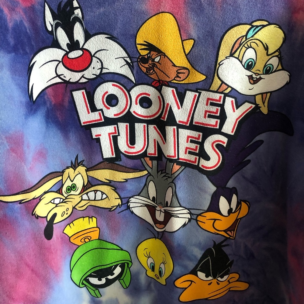 Looney Tunes sweater